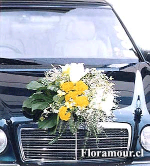 Arriendo de Automviles - Alquiler