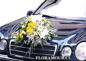 Arriendo de Automviles - Alquiler