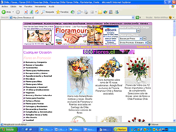 Ir al Dpto. de Ramos y flores para Novia de floreras Floramour.cl